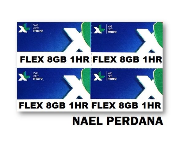 FLEX 8GB 1H