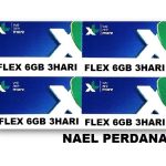 FLEX 6GB 3H